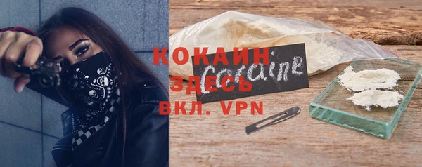 дживик Сосновый Бор