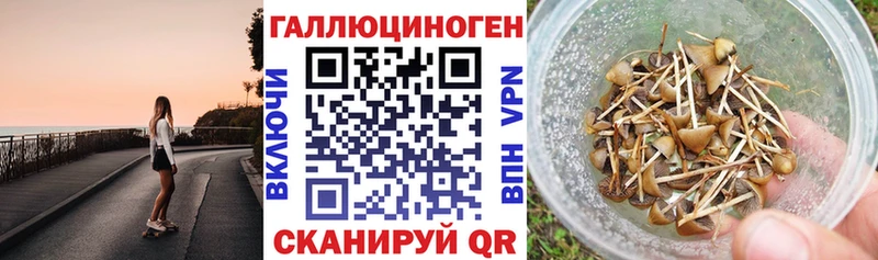 Псилоцибиновые грибы Psilocybine cubensis  где купить наркоту  Заозёрск 